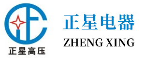 浙江正星電器有限公司